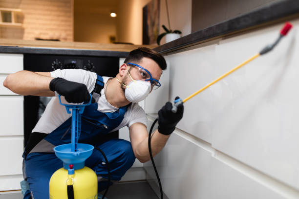 Best Ant Control Services  in Hasson Heights, PA