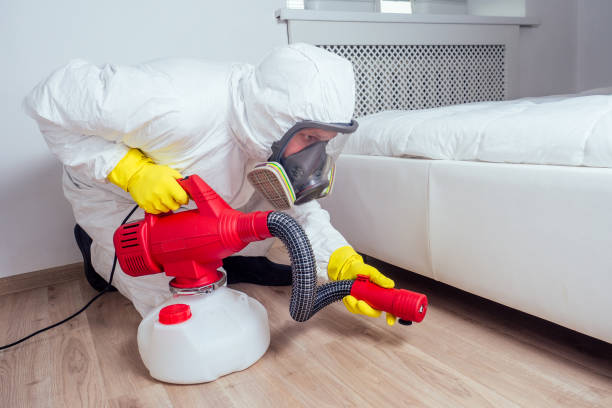 Best Emergency Pest Control  in Hasson Heights, PA