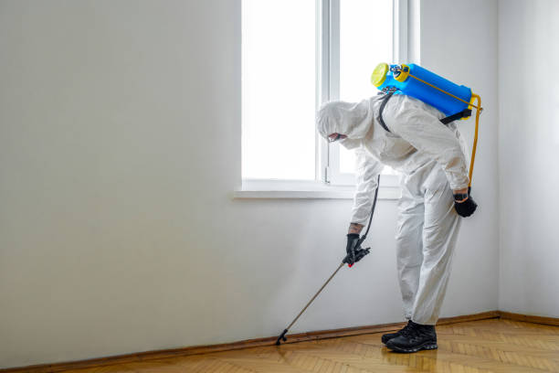 Best Commercial Pest Control Services  in Hasson Heights, PA