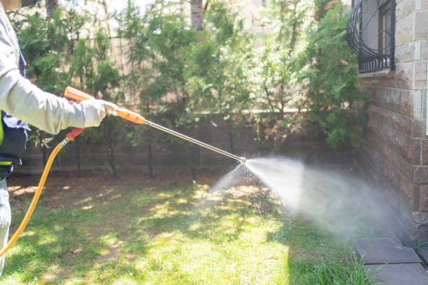 Best Best Pest Control Companies  in Hasson Heights, PA