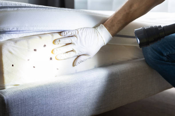  Hasson Heights, PA Pest Control Pros