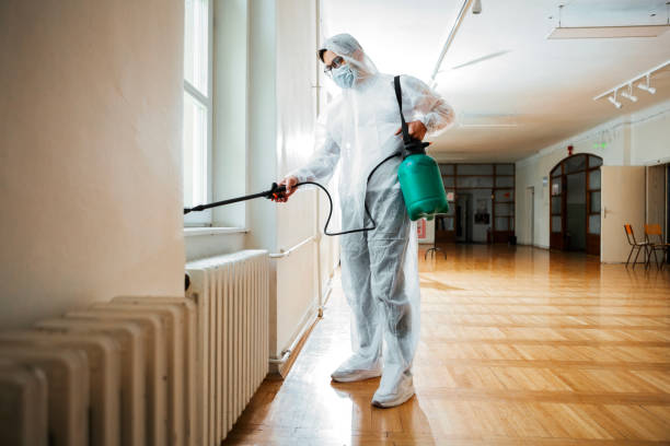 Best Affordable Pest Control Services  in Hasson Heights, PA