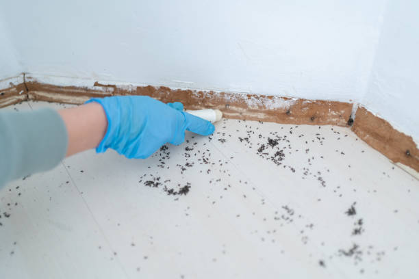 Best Exterminator Services  in Hasson Heights, PA