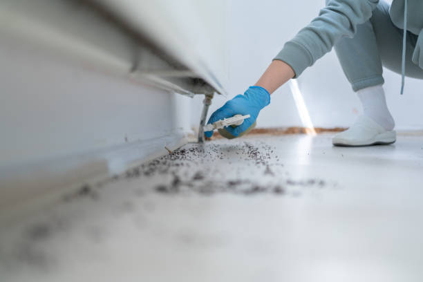 Best Bed Bug Extermination  in Hasson Heights, PA