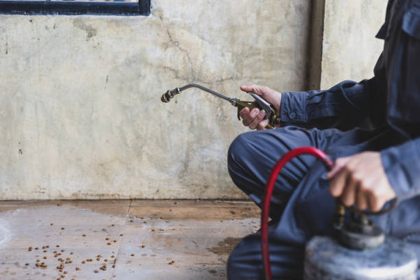 Best Pest Inspection Near Me  in Hasson Heights, PA